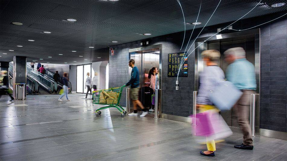 Bild