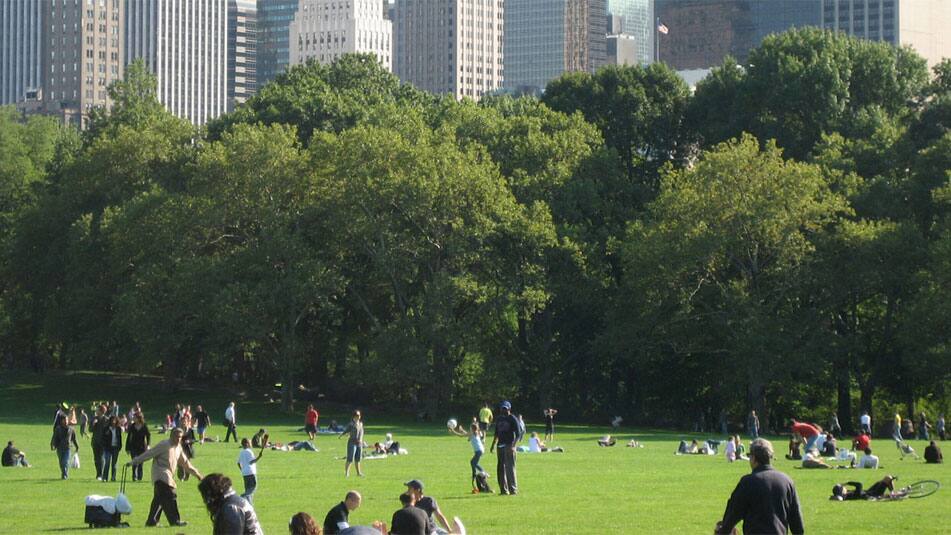 img_environment-951x535